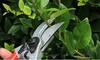 FELCO 2 Pruning Shears FELCO