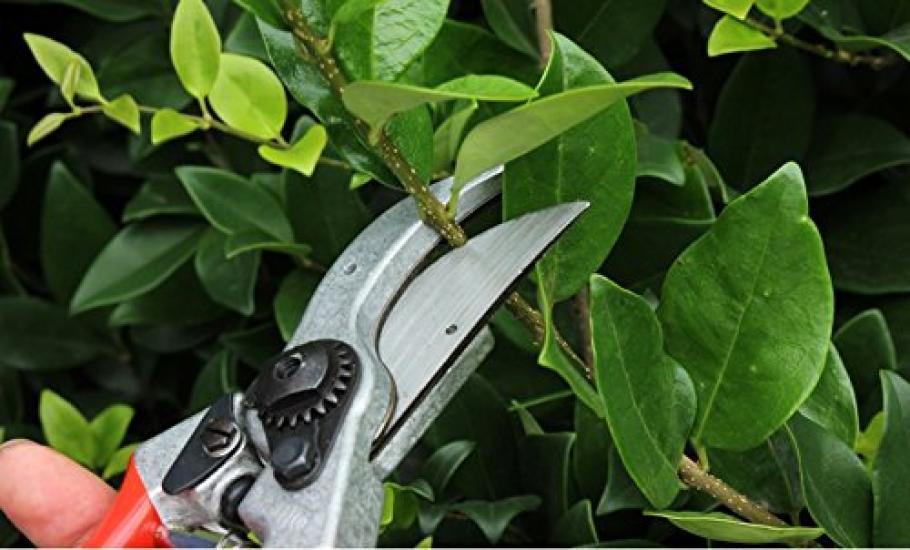 FELCO 2 Pruning Shears FELCO