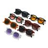 Retro Oval Sunglasses Stylish Minimalist Round Shades for Women Men Fashion Eyewear
