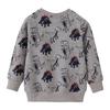 European-Style Children's Long Sleeve Cotton Hoodie for Autumn/Winter
