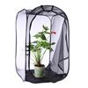 Mini casa jardim crescente tendas inseto flor planta estufa translúcida