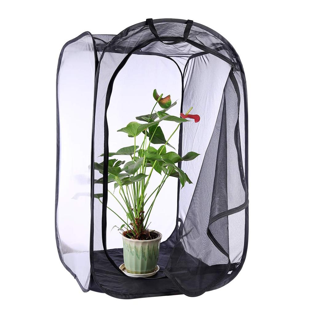Mini casa jardim crescente tendas inseto flor planta estufa translúcida