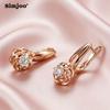 SIMJOO Rose Gold Color Fashionable Geometric Shape Noble Women's Stone Earrings Pendants