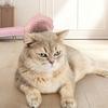 Pet Grooming Comb Loose Fur Removal Comb Dog Hair Detangling Brush Easy to Clean Deshedding Tool for Long or Short Hair Cats Dogs