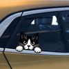 Peeking Cat Car Stickers Car Window Decals, Waterproof Removable Vinyl Black White Animal Decals for Cars Motorcycles Laptops, Funny Pet Design,