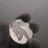 Try your luck with sexy coins, sexy coins, military commemorative medals, Christmas gift, Stocking stuffers