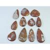 337Cts. Natural Noreena Jasper Pear Cabochon Loose Gemstone 11Pcs Lot C-1864