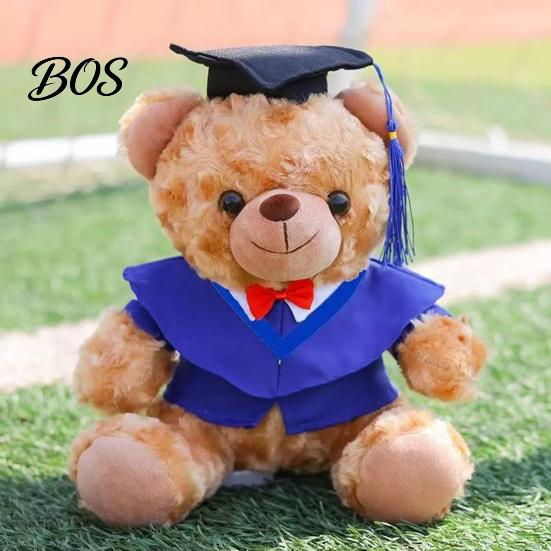 Luxury Gift Packaging Bear Personalized Graduation Gifts 2026 for Her, Cute Teddy with Embroidered Gown Award And Cap, Soft Plush Mascot College High