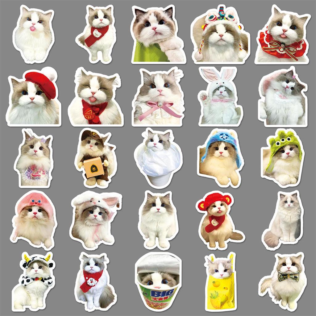 Lot de 50 Autocollants Mignons Chat Cartoon Imperméables pour Téléphones