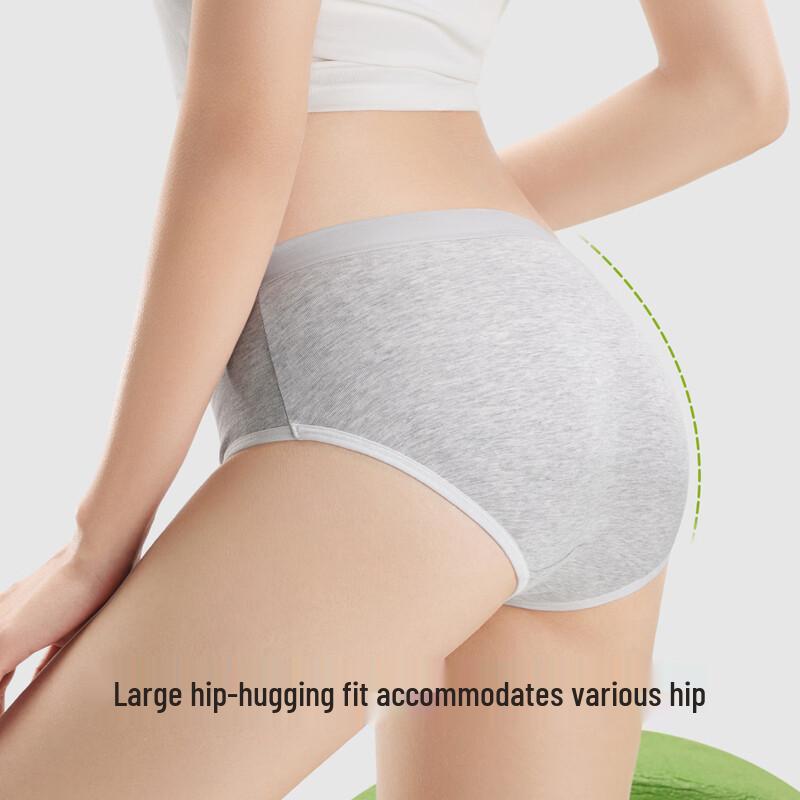 SecretWorld Women's 7A Antibacterial Seamless Cotton Briefs Multi-Pack