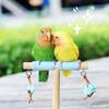 Bite-resistant Parrot Perch Stand Wear-resistant Parakeet Teeterboard  Cage Accessory