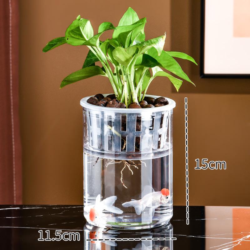 Small Hydroponic Vase for Phalaenopsis & Succulents - Desktop Decoration
