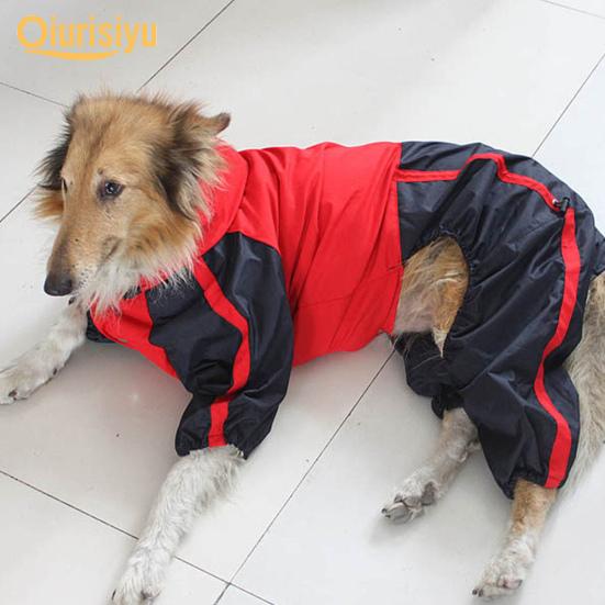 sheltie raincoat