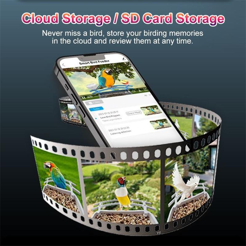 Intelligenter Vogelfutterspender mit Kamera, 1080P, Solarbetrieben, geringer Stromverbrauch, Nachtsicht, IP66, wasserdicht, 4G- oder WLAN-Verbindung, Futterspender für echte Vogelarten