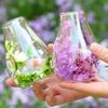 Mini Glass Decorative Bottle with Dried Flowers Compact Transparent Floral Ornament Double Wall Hydroponic Vase Home Decoration