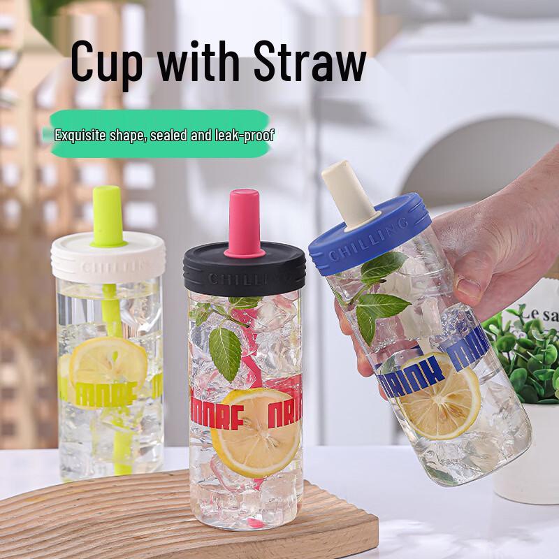 High Borosilicate Glass Cup with Straw