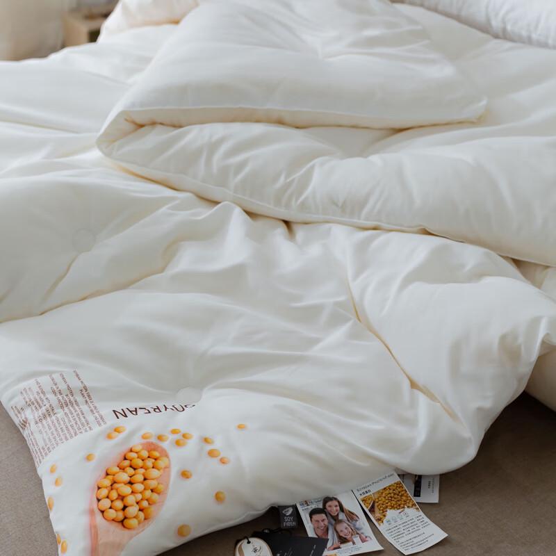 Yiyi'ai Soy Protein Fiber Winter Quilt