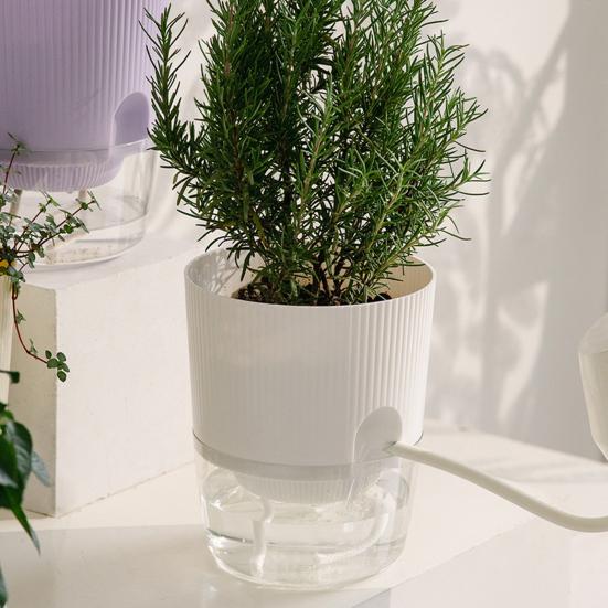 Self Watering Plant Pot Orchid Planter with Wick Ropes Flower Pot with Drainage Holes Transparent Water Reservoir for Indoor Plants Home Office Decor