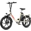 Bicicletă Electrică Tip Mule Maxturn Pentru Adult Motor 250W Baterie 48V 20Ah E-Bike Roți Grase 20*3.0 inch Bicicletă Electrică