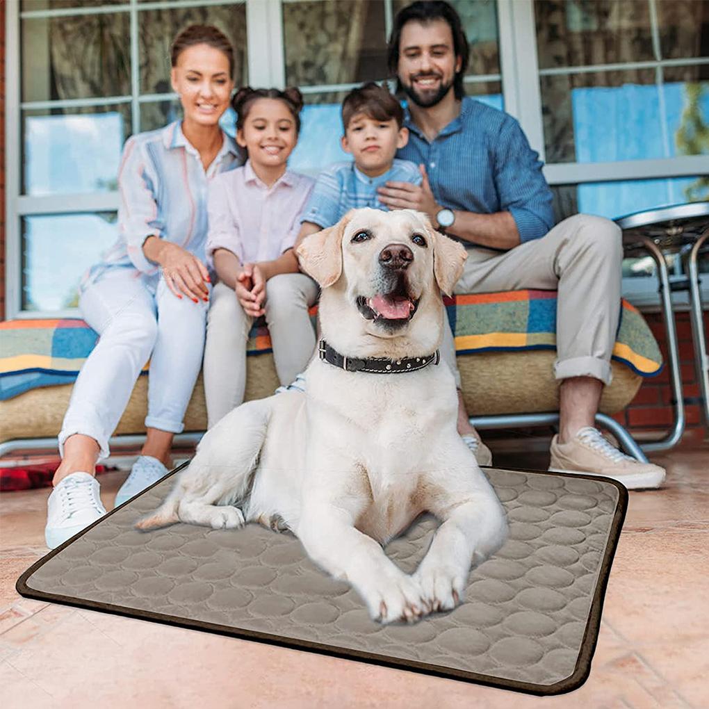 Pet Mat Cooling Water Absorbing Pet Pad Foldable Portable Animal Mat for Summer