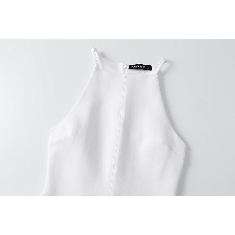 Kaslead New Arrival Women's Clothing Fashion Style Fashion Minimalist Double-Sided Cloth Hanging Collar Dress 3253362