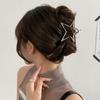 Bariz Star Star Y2K Metal Cubic Hair Clip
