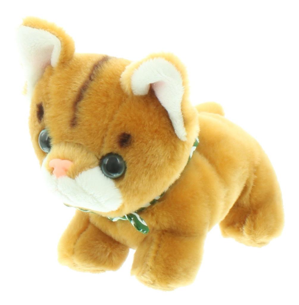 Take Off Music Box Mate Abyssinian