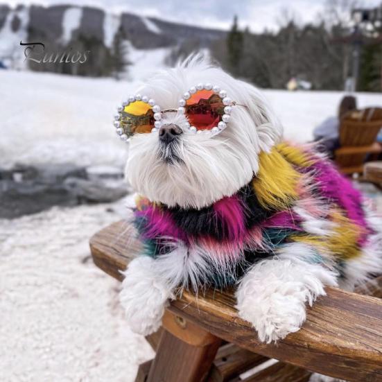 Pet Glasses with Artificial Pearl Decoration Lightweight Photography Accessory Small Cat Sunglasses Dog Goggles for Festivals Parties