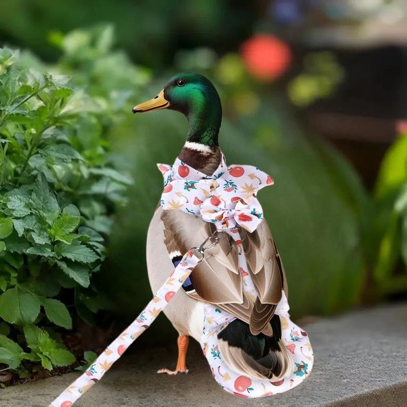 1/2Pcs Cute Cartoon Fashion Chicken Duck Vest Diaper Hen Belt Pet Traction Rope Set Comfortable Leads Pet Poultry Supplies