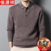 Men's Pure Wool Thickened Polo Sweater