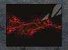 TAGLIERE IN VETRO 40x30 NERO