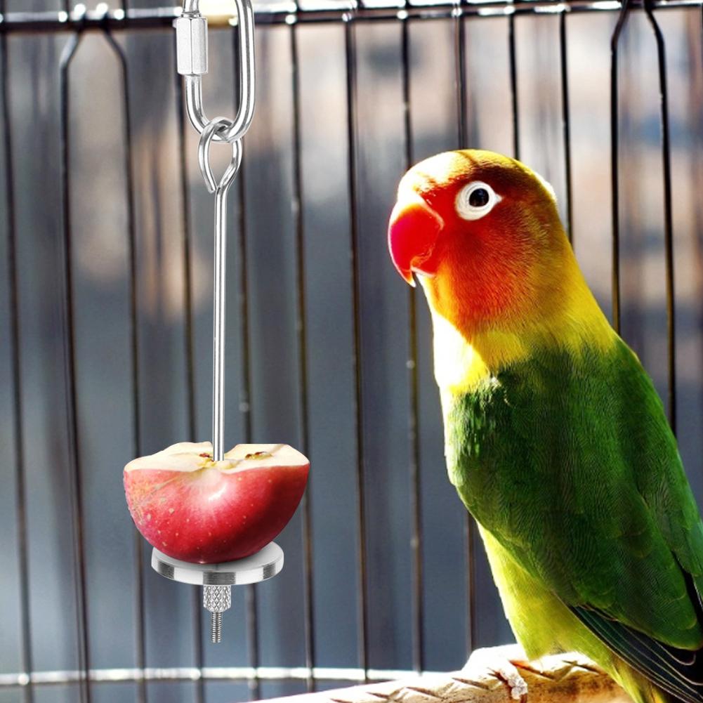 Stainless Steel Pet Fruit Fork Birds Food Holder Feeder Devices Pin Clip for Parrots Chinchilla