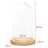 Cloche Tabletop Display Case Jar with Wooden Diy Craft Making Supplies