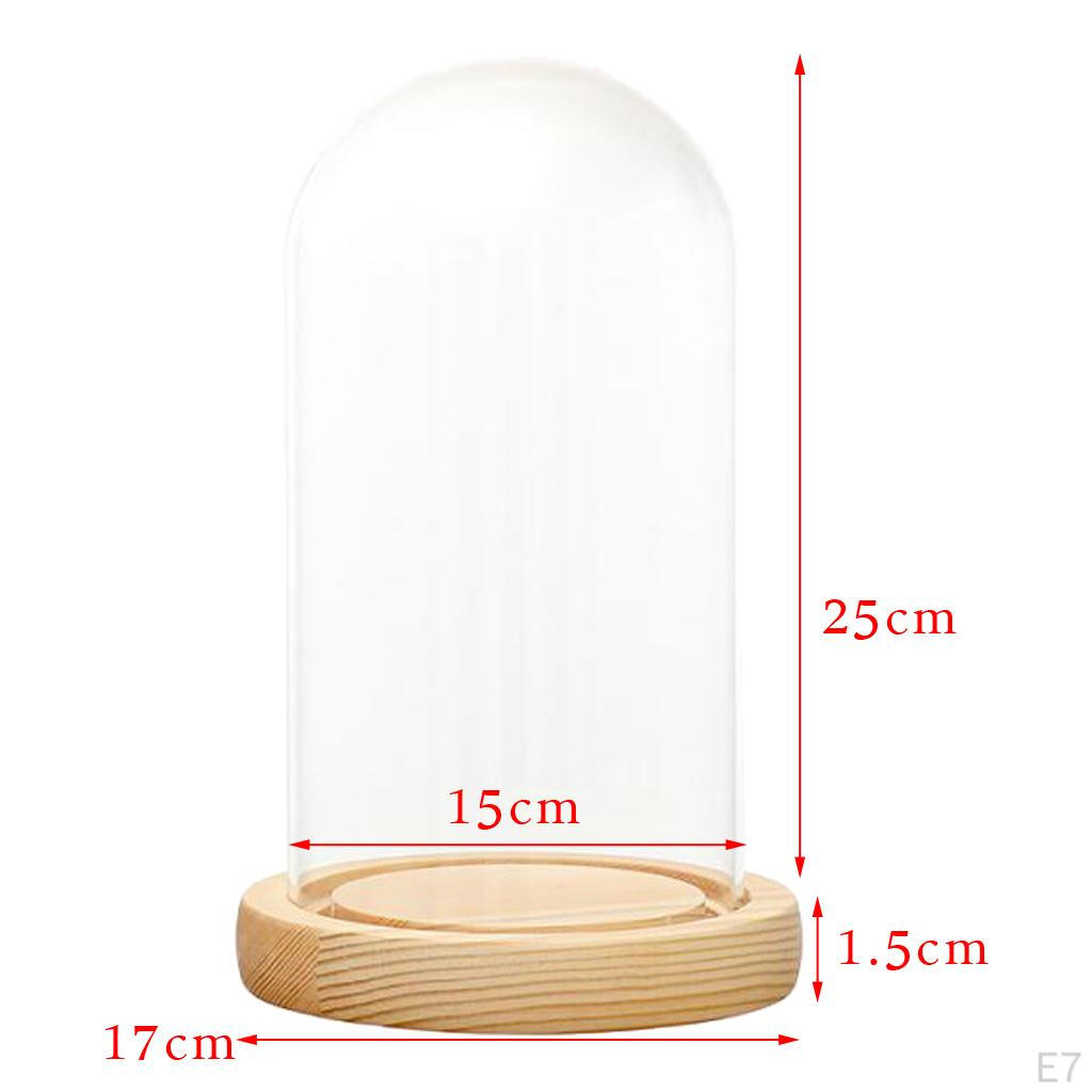 Cloche Tabletop Display Case Jar with Wooden Diy Craft Making Supplies