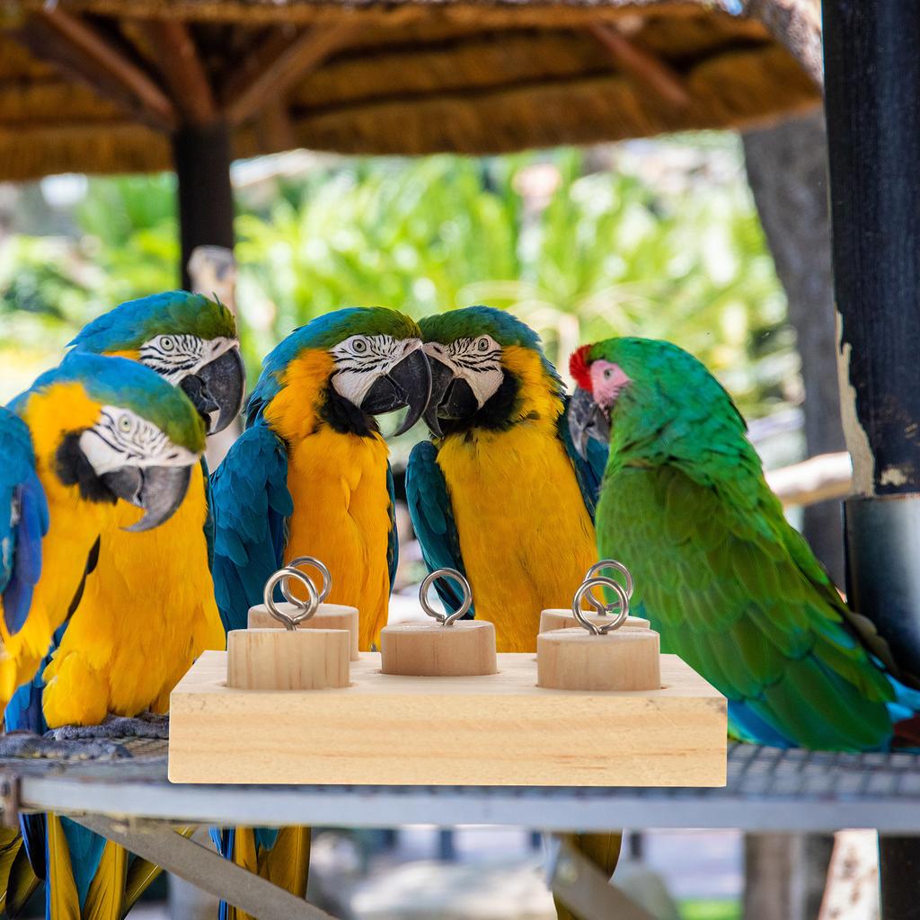 Wooden Household Parrot Accessory Wear-Resistant Interactive Conure Cockatiel Supply for Chewing Grinding Training
