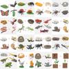 Animal Life Cycle Board Children Plaything Montessori Teaching Aids Plant Animal Growth Cycle Miniature Kit preschool cognitive Playthings