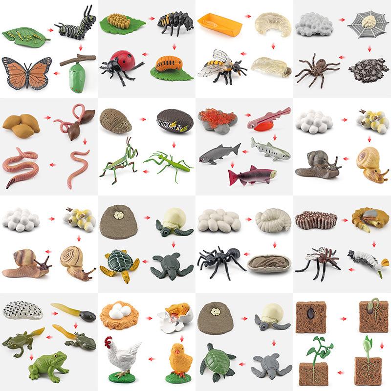 Animal Life Cycle Board Children Plaything Montessori Teaching Aids Plant Animal Growth Cycle Miniature Kit preschool cognitive Playthings
