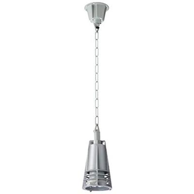 Iwasaki Electric High-Bay Lamp Holder (Variable Beam Distribution, Chain Hanger) O39-456C