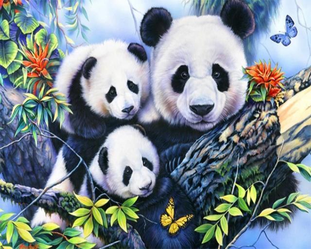 

5D DIY алмазная живопись полный квадратный панда пейзаж вышивка крестиком мозаичная картина из стразов Декор Алмазная вышивка животное Full Round 20x30CM