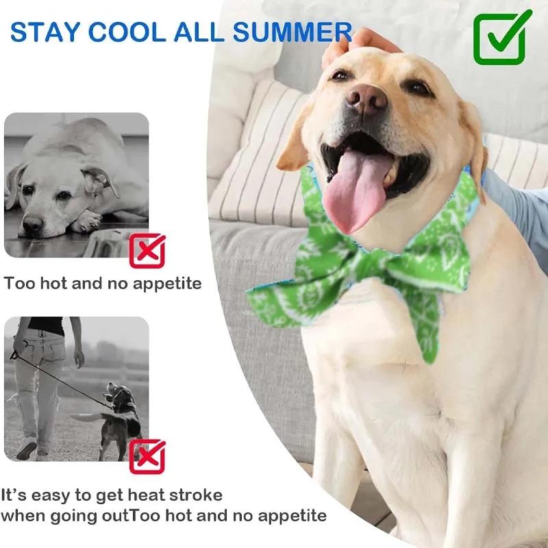 Pet Cooling Scarf Ice Collar for Cats Dogs Summer Heat Relief Outdoor Travel Accessory with Breathable Cartoon Design