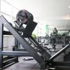 Shuhua SH-G6874 Plate-Loaded Thigh Squat Trainer