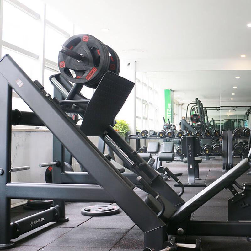 Shuhua SH-G6874 Plate-Loaded Thigh Squat Trainer