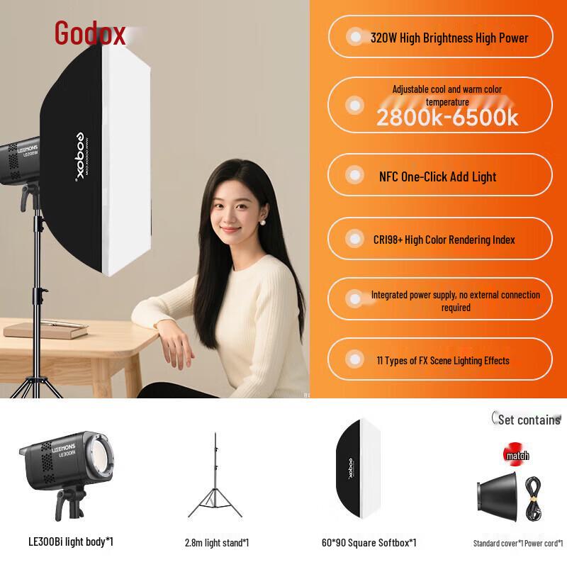Godox LE300Bi Bi-Color LED Video Light
