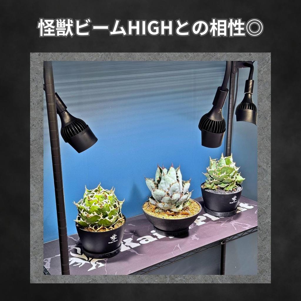 Kaiju Plant Monster Clip Socket, E26, for Indoor Gardening, No Droop, Extra Thick Arm, Secure Mount, Supports up to 430g50W