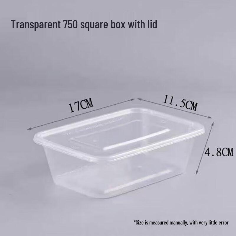 Disposable Transparent Food Containers