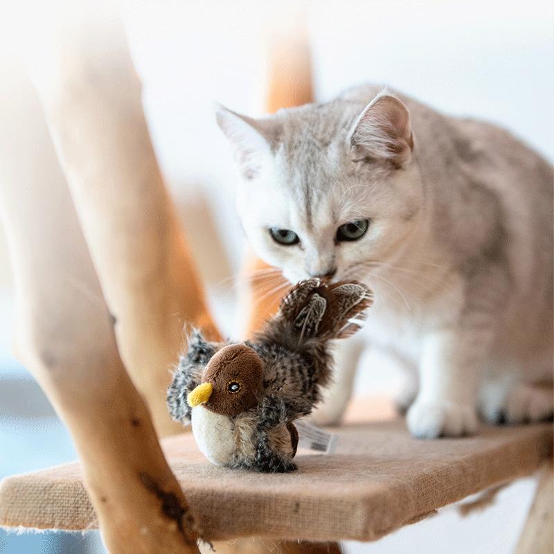 Interactive Cat Toys Electric Squeaky Simulation Bird Plush Cats Pets Teasing Toys With Feather Kitten Chirping Bird Toys