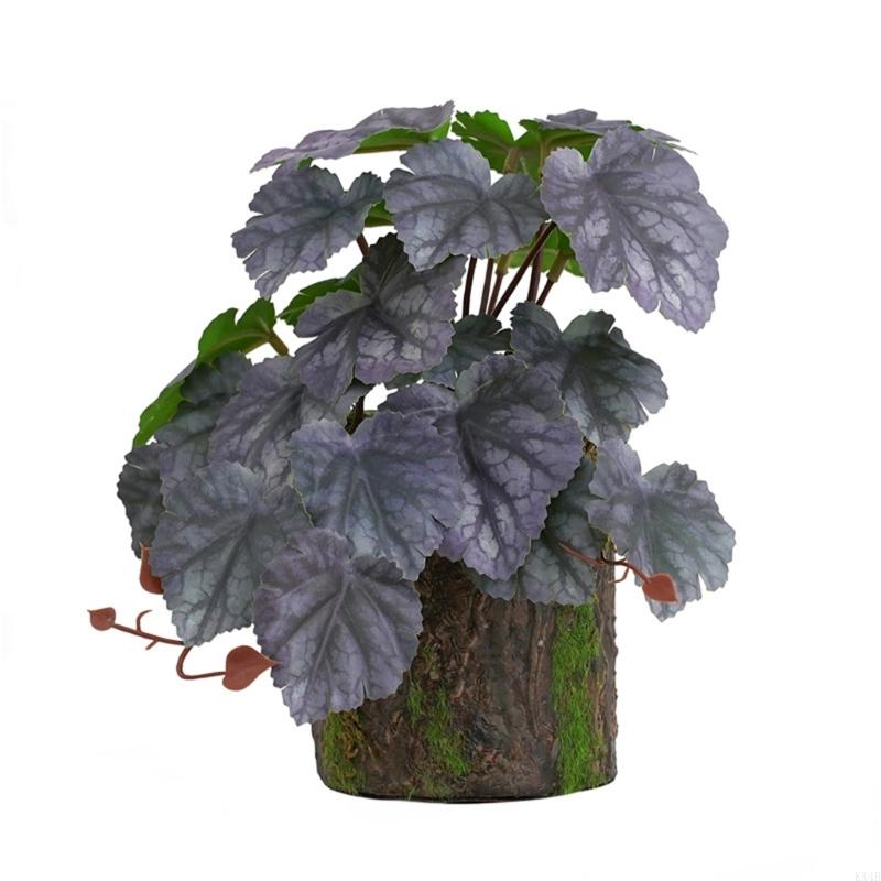 KX4B Dekoracja Akwarium Roślina Terrarium Rośliny Dekoracyjne do Zbiornika Rybnego dla Siedliska Płazów Jaszczurek