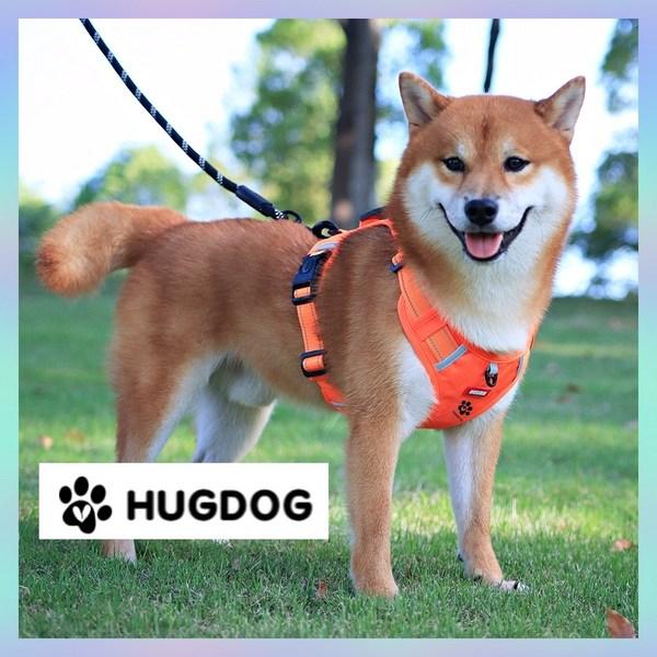 Hugdog Control Belt Safety Harness, Fun Yellow