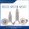 Anti-Theft 304 Stainless Steel Torx Self-Tapping Screws, Pin ST2M2.3-M5M6, Flat Head, Pointed Tail
