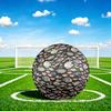1pc Fish Size 5 Soccer Ball Professional Match Training Football Indoor &Outdoor Sports Ball Lightweight Durable C6586